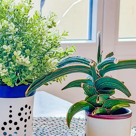 Daire Splendide T4 Avec Balcon *