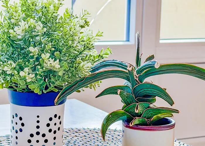 Daire Splendide T4 Avec Balcon *